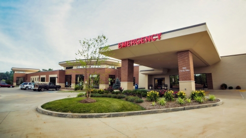 Image of Intro Image